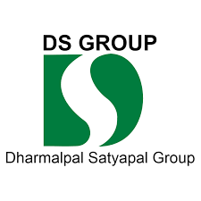 DS Group logo